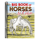 Big Book of Horses to Color