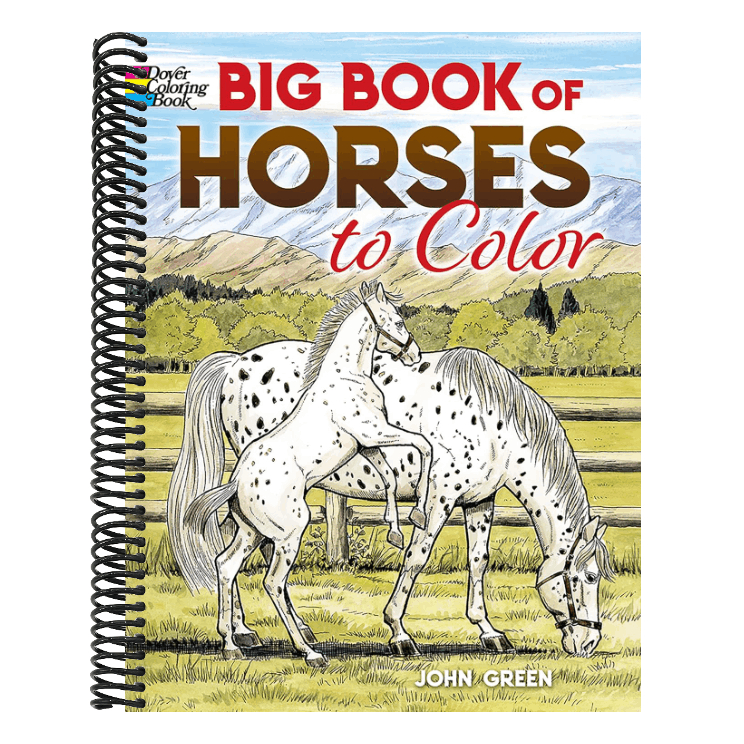Big Book of Horses to Color