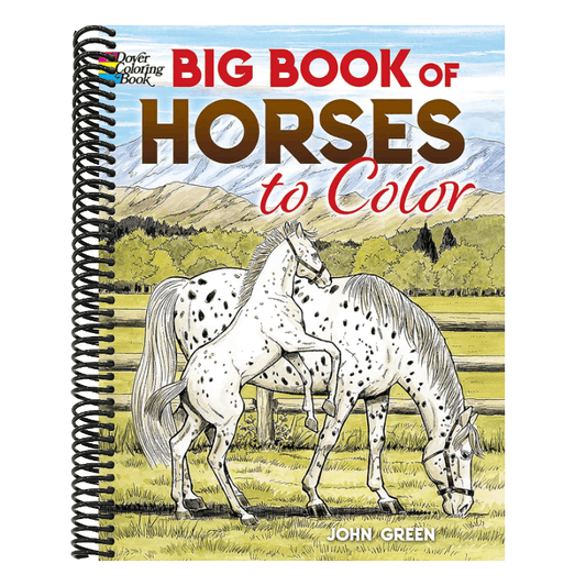 Big Book of Horses to Color