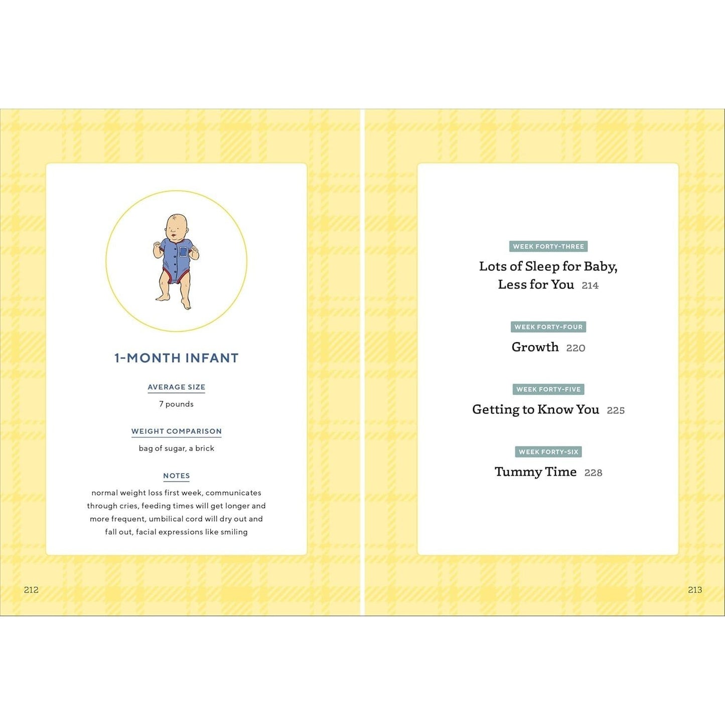 We're Pregnant! the First Time Dad's Pregnancy Handbook (First-Time Dads) (Spiral Bound)