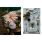 Cannelle Et Vanille: Nourishing, Gluten-Free Recipes for Every Meal and Mood (Cannelle Et Vanille)