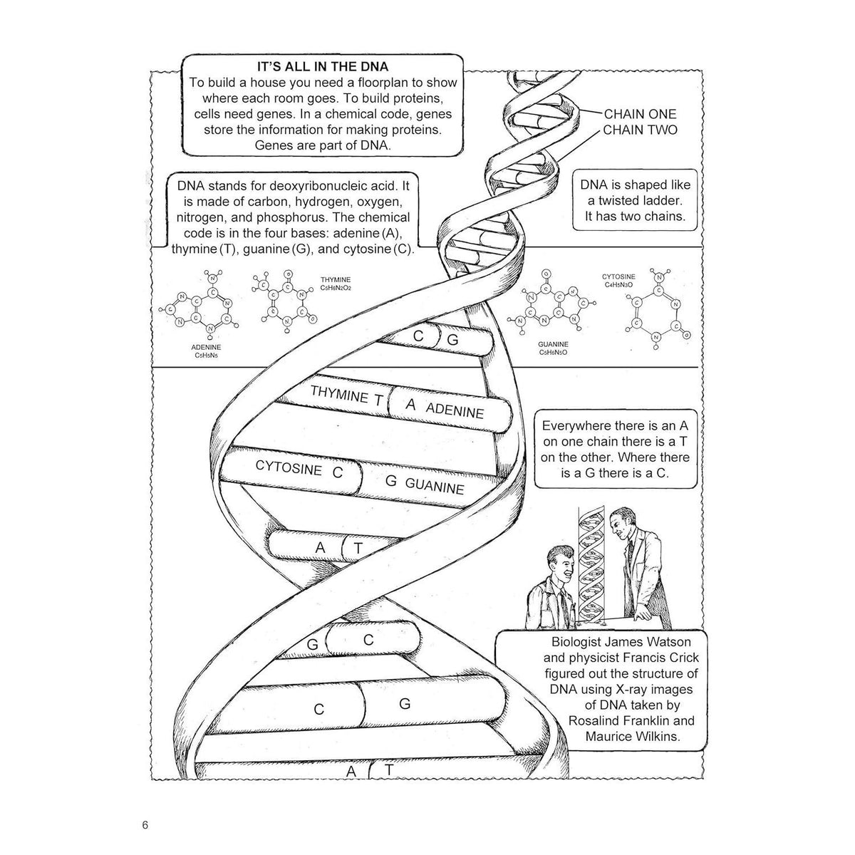 My First Book about Genetics