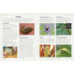 The Cook's Herb Garden: Grow, Harvest, Cook (Spiral Bound)