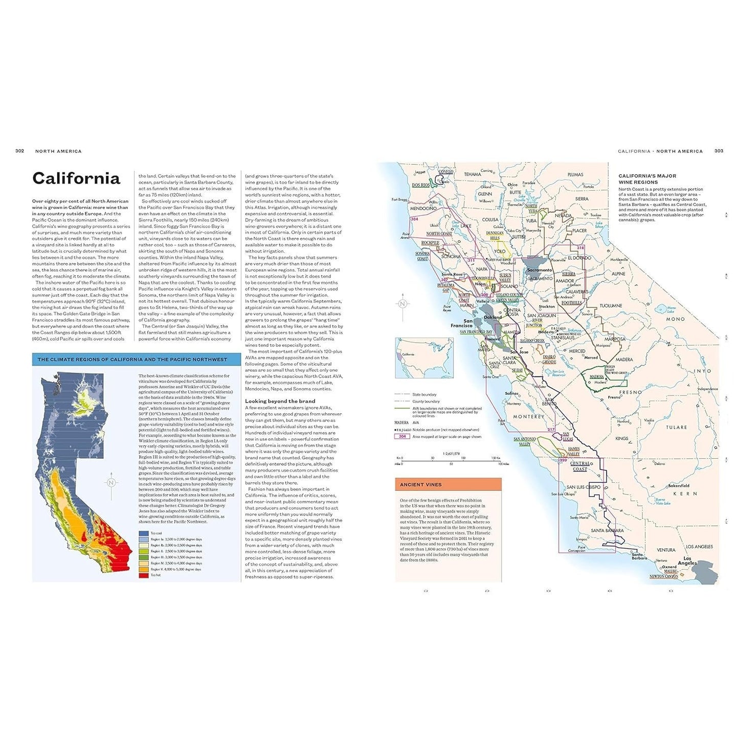 The World Atlas of Wine 8th Edition