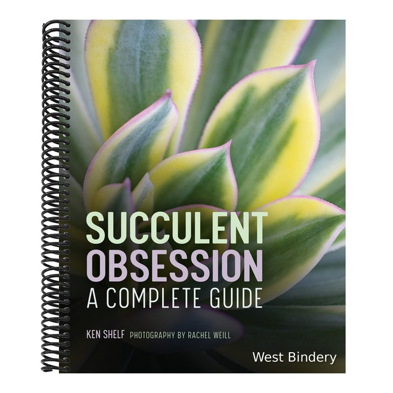 Succulent Obsession: A Complete Guide