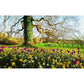 Martha Stewart's Gardening Handbook: The Essential Guide to Designing, Planting, and Growing (Spiral Bound)