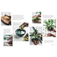 Wild Creations: Inspiring Projects to Create Plus Plant Care Tips & Styling Ideas for Your Own Wild Interior