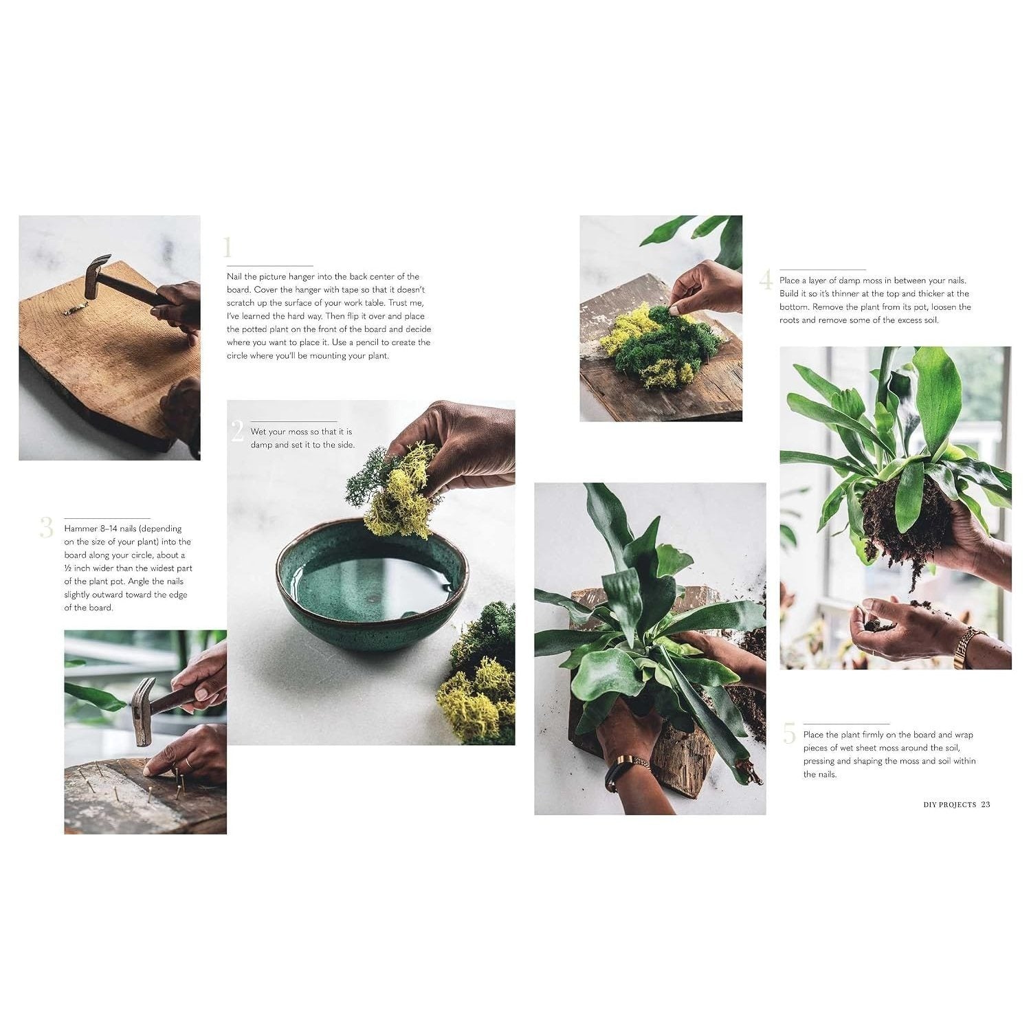 Wild Creations: Inspiring Projects to Create Plus Plant Care Tips & Styling Ideas for Your Own Wild Interior