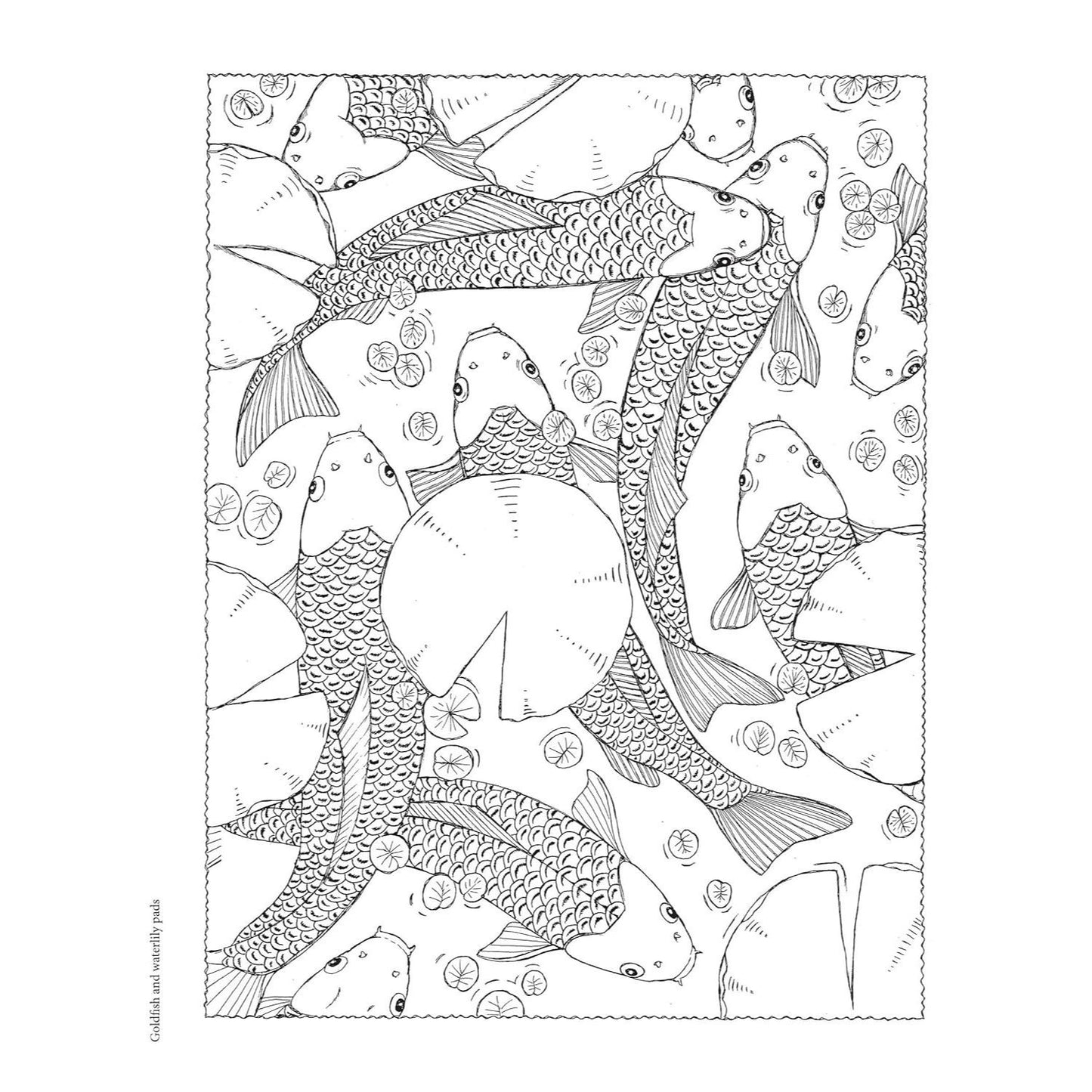 NatureScapes (First Edition, First)