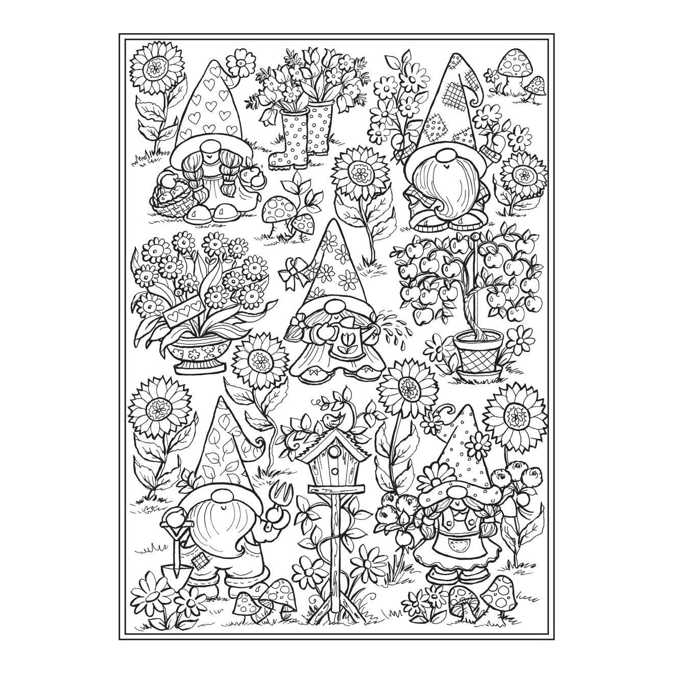 Whimsical Gnomes Coloring Book