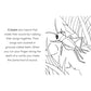 Bug Book for Kids: Coloring Fun and Awesome Facts (A Did You Know? Coloring Book) (Spiral Bound)