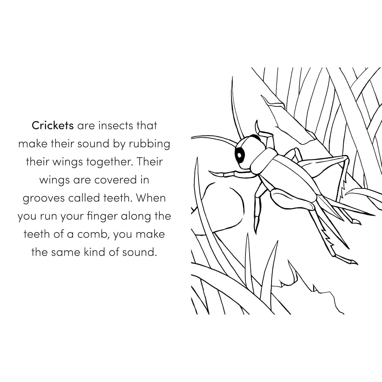 Bug Book for Kids: Coloring Fun and Awesome Facts (A Did You Know? Coloring Book) (Spiral Bound)