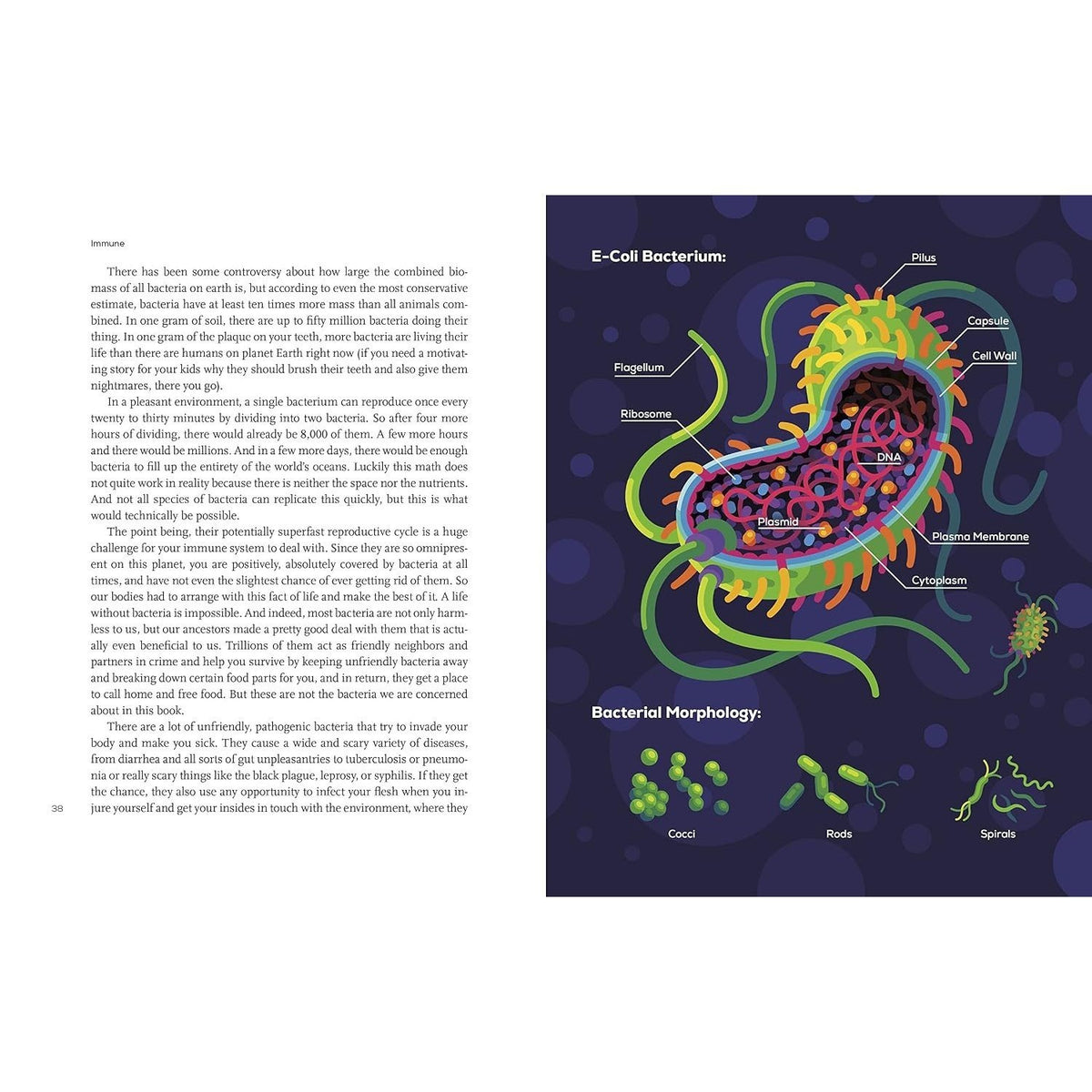 Immune: A Journey Into the Mysterious System That Keeps You Alive