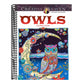 Creative Haven Owls Coloring Book