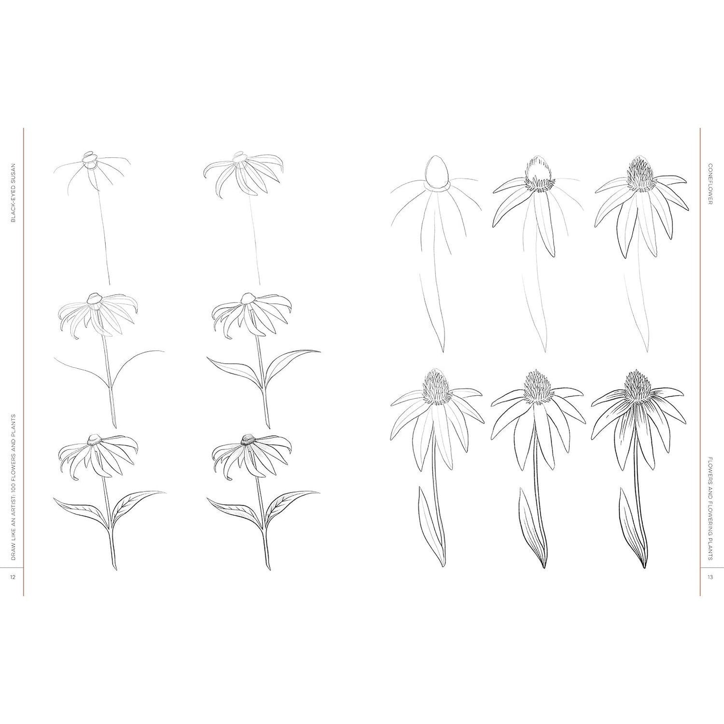 Draw Like an Artist: 100 Flowers and Plants: Step-By-Step Realistic Line Drawing * a Sourcebook for Aspiring Artists and Designers (Draw Like an Artist #2) (Spiral Bound)