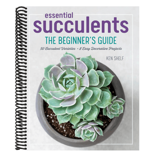 Essential Succulents: The Beginner's Guide