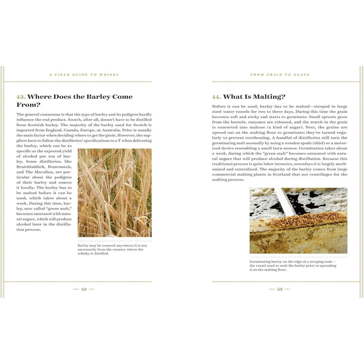 A Field Guide to Whisky: An Expert Compendium to Take Your Passion and Knowledge to the Next Level (Revised and Updated)