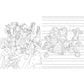One Piece: The Official Coloring Book (Media Tie-In) (Spiral Bound)