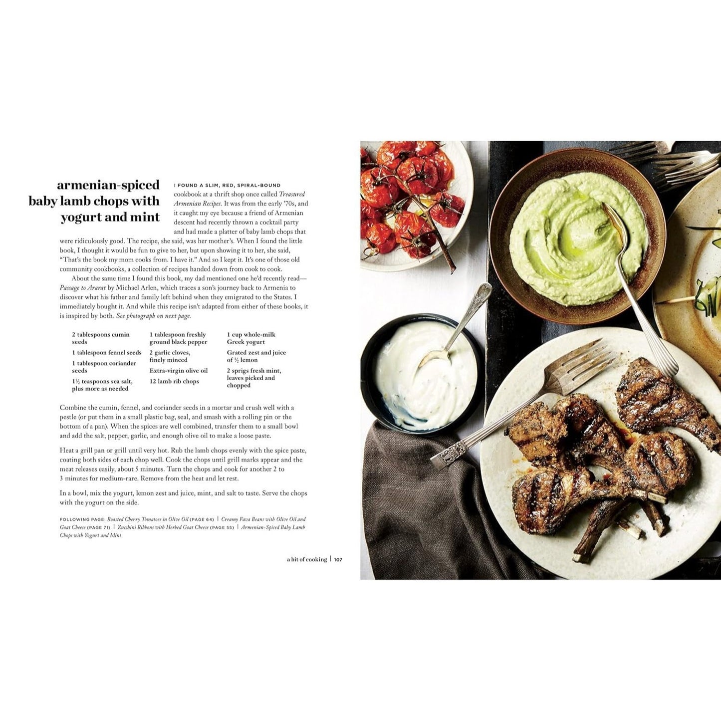 Graze: Inspiration for Small Plates and Meandering Meals: A Charcuterie Cookbook (Spiral Bound)