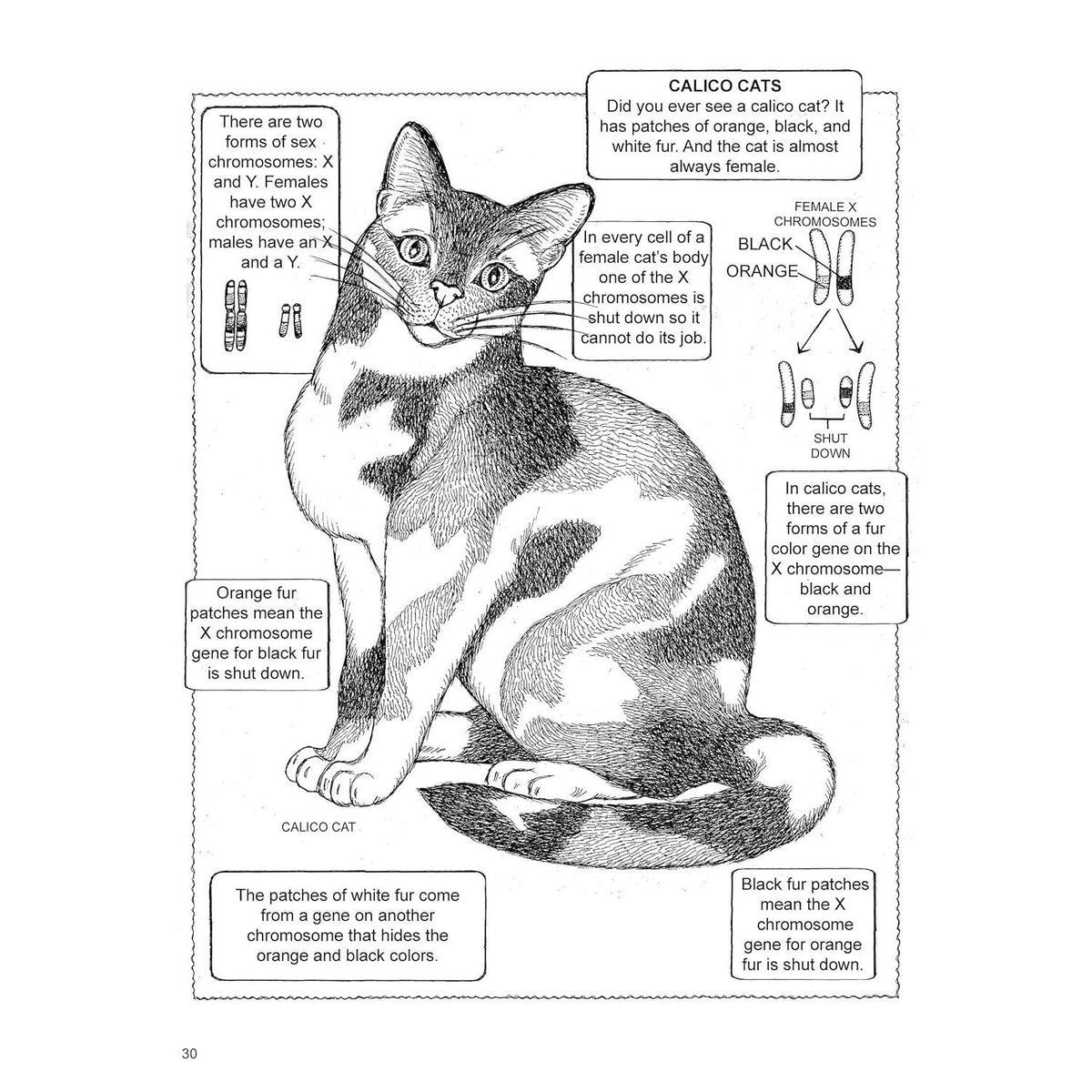 My First Book about Genetics