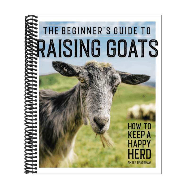 The Beginner's Guide to Raising Goats: How to Keep a Happy Herd