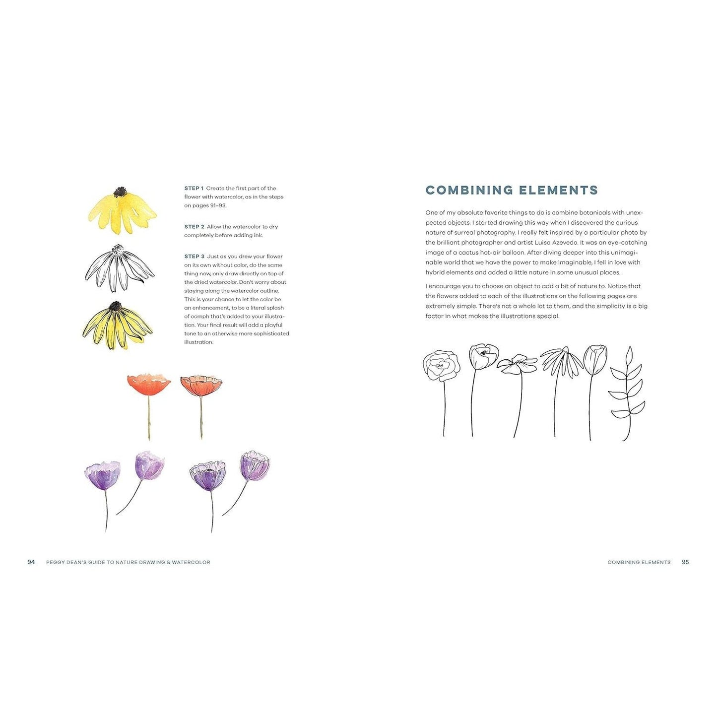 Peggy Dean's Guide to Nature Drawing and Watercolor: Learn to Sketch, Ink, and Paint Flowers, Plants, Trees, and Animals