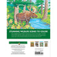 Creative Haven Forest & Woodland Wildlife Coloring Book