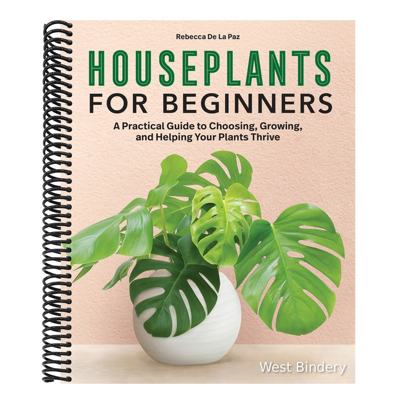 Houseplants for Beginners: A Practical Guide to Choosing, Growing, and Helping Your Plants Thrive