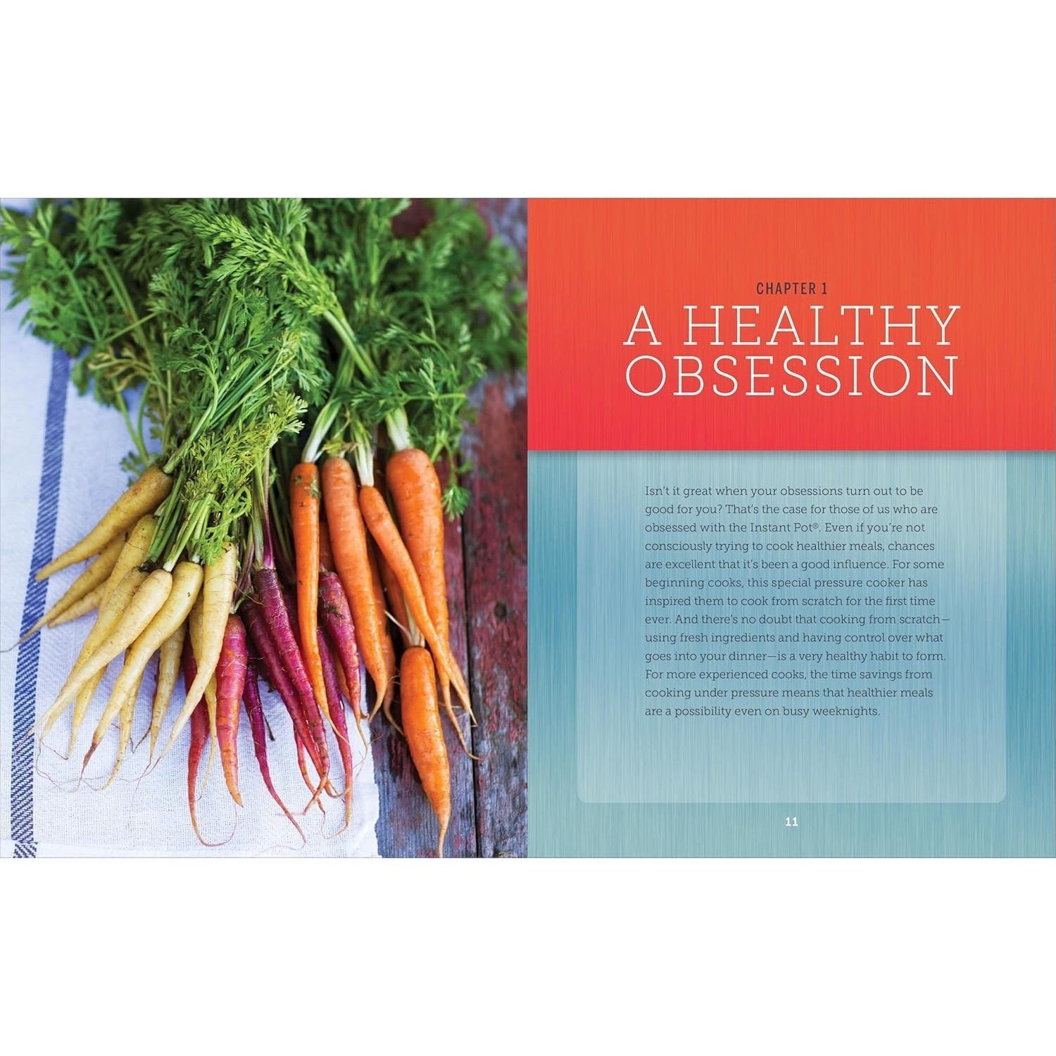 Instant Pot(r) Obsession: The Ultimate Electric Pressure Cooker Cookbook for Cooking Everything Fast
