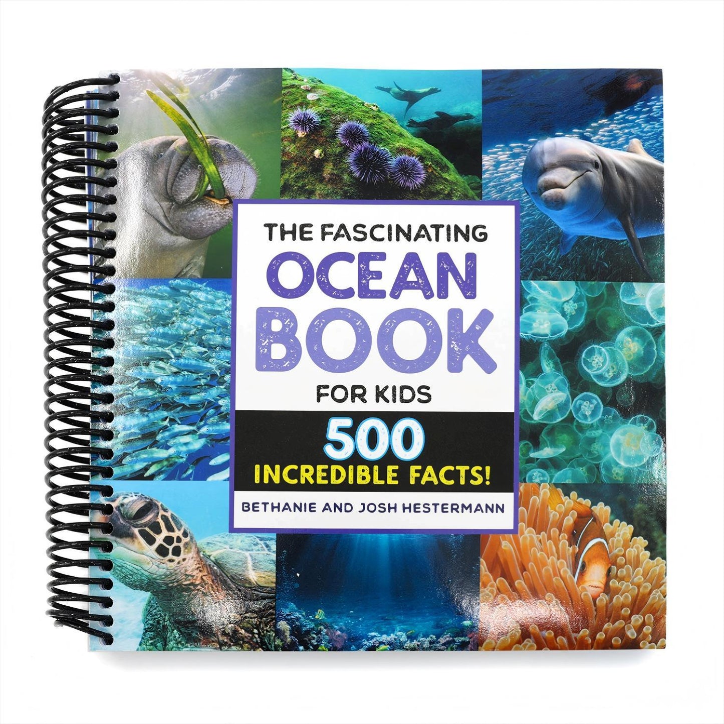 The Fascinating Ocean Book for Kids: 500 Incredible Facts! (Spiral Bound)