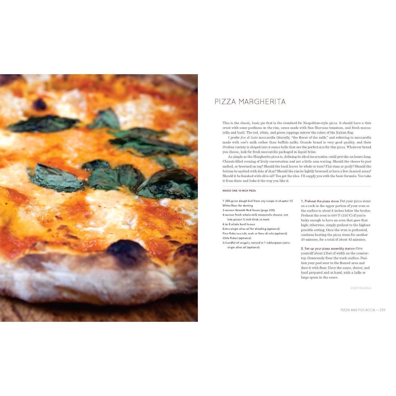 Flour Water Salt Yeast: The Fundamentals of Artisan Bread and Pizza [A Cookbook] (Spiral Bound)