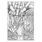 Creative Haven Fantastical Dragons Coloring Book