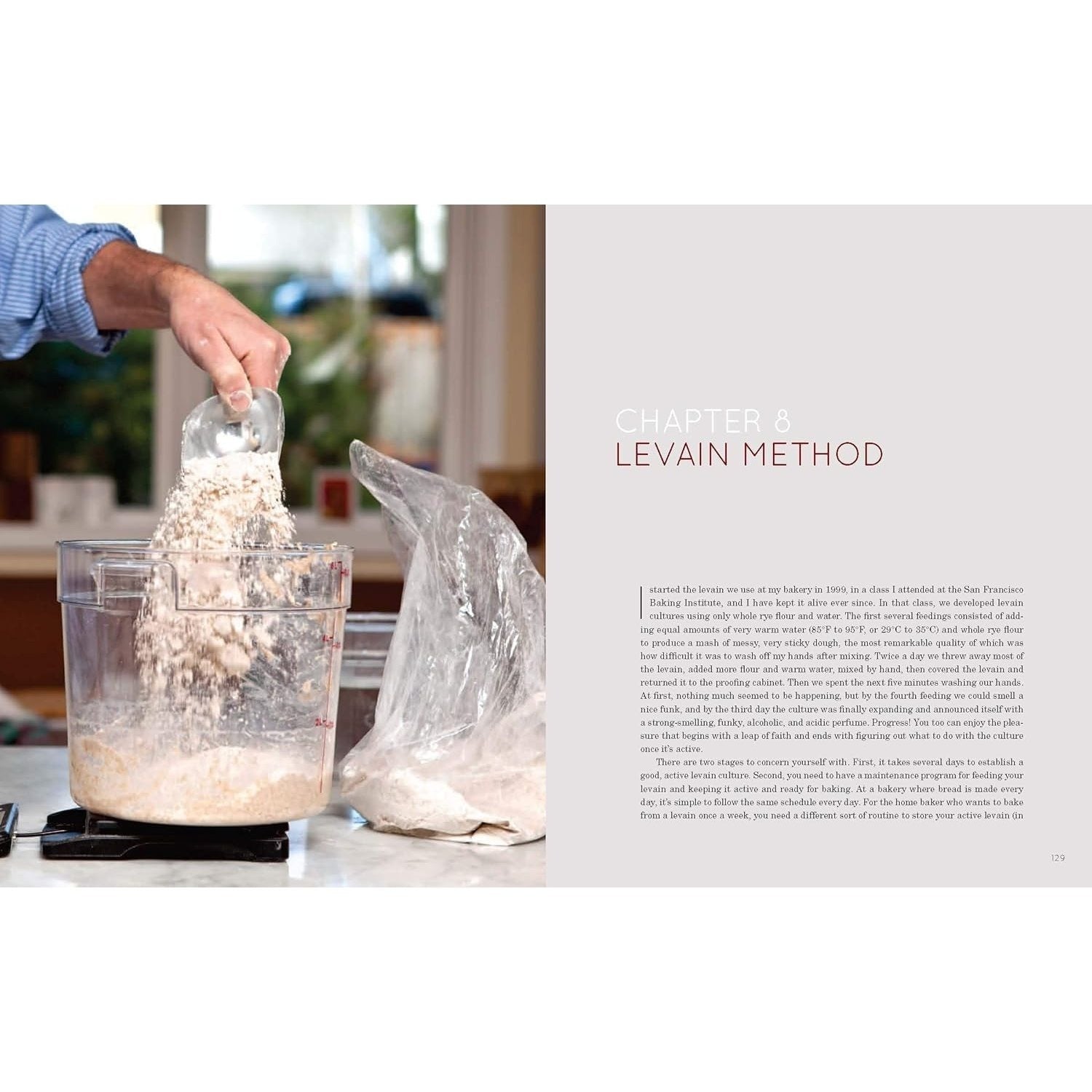 Flour Water Salt Yeast: The Fundamentals of Artisan Bread and Pizza [A Cookbook] (Spiral Bound)