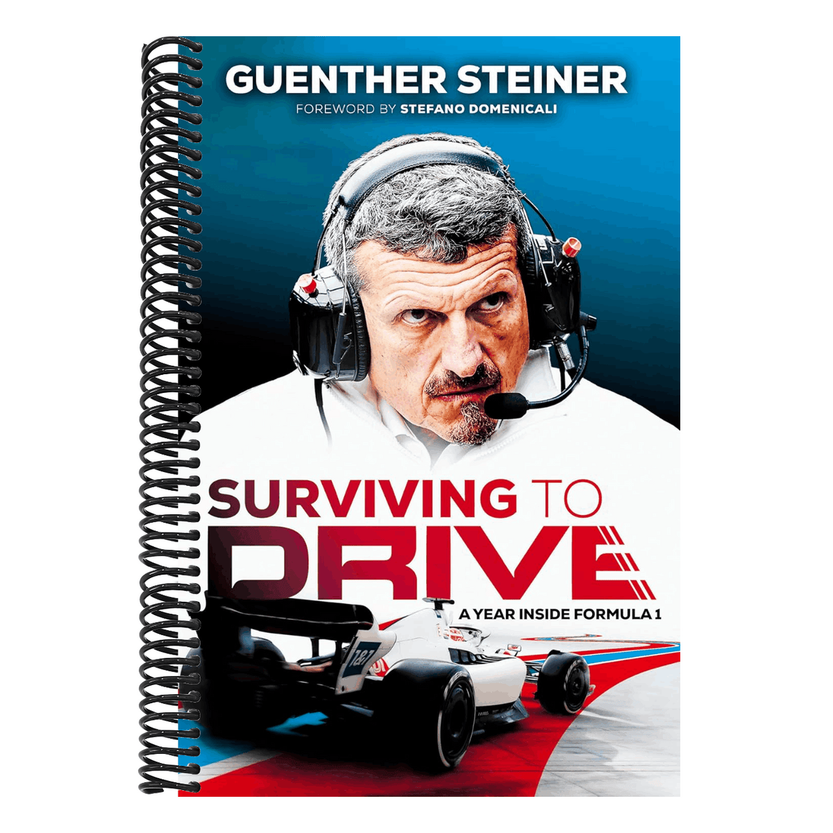 Surviving to Drive: A Year Inside Formula 1: An F1 Book