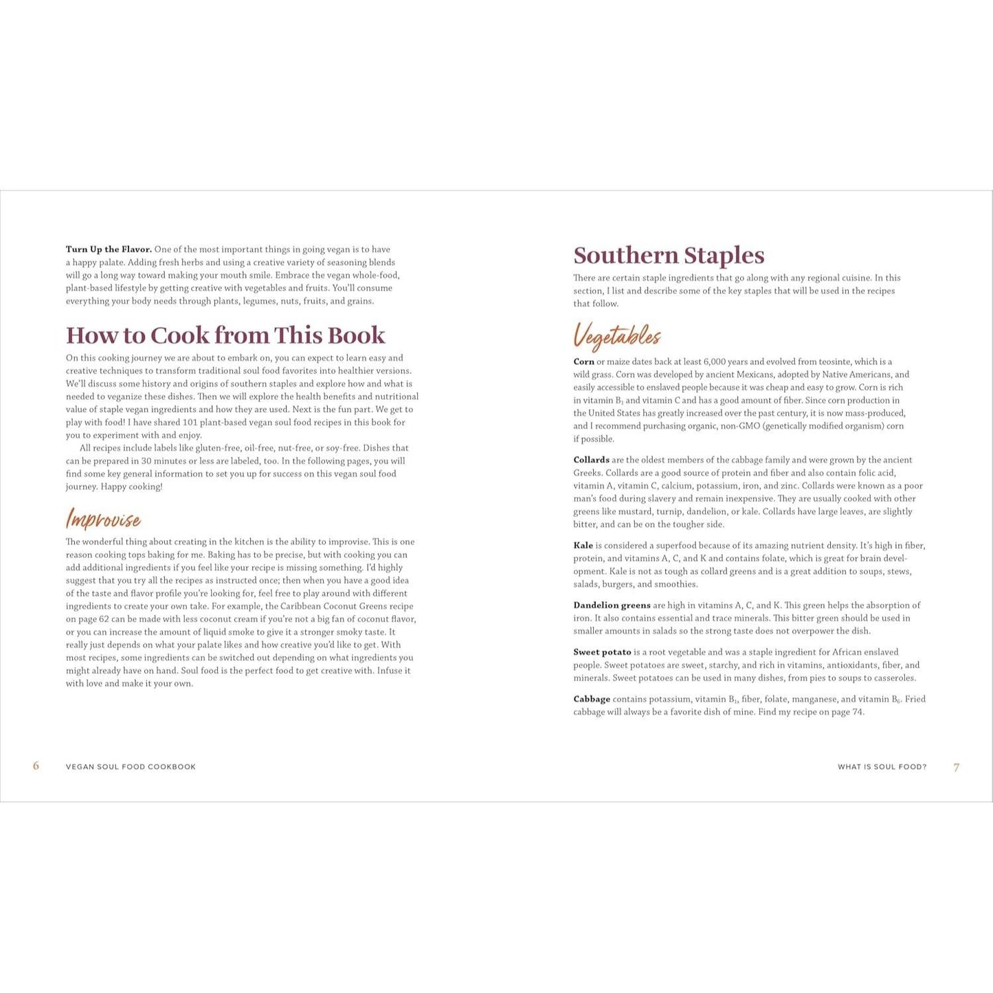 Vegan Soul Food Cookbook: Plant-Based, No-Fuss Southern Favorites (Spiral Bound)