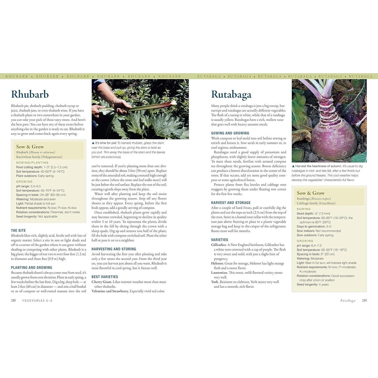 The Vegetable Gardener's Bible, 2nd Edition: Discover Ed's High-Yield W-O-R-D System for All North American Gardening Regions: Wide Rows, Organic Methods, (10TH ed.) (Spiral Bound)