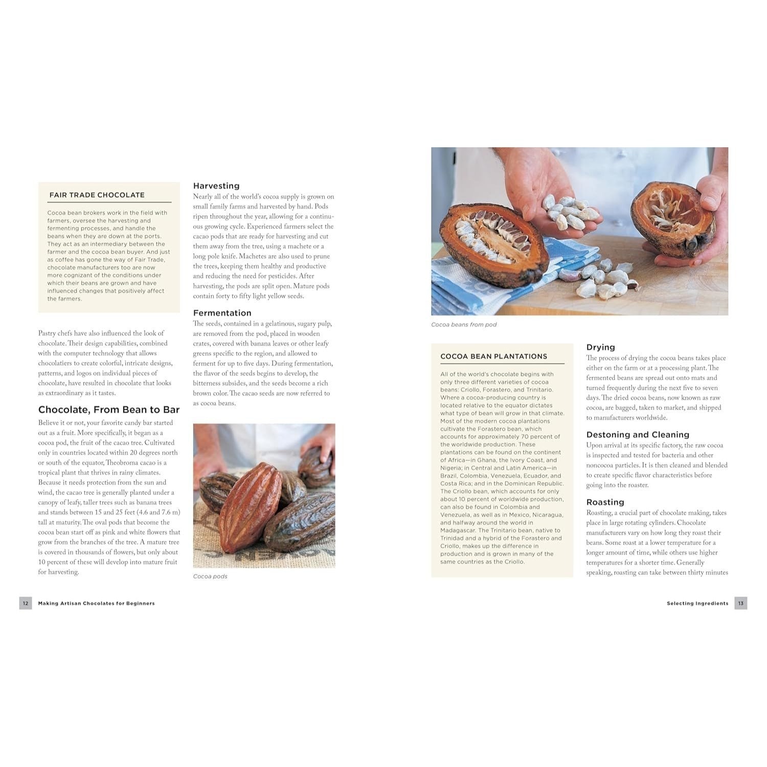 Making Artisan Chocolates for Beginners: Flavor-Infused Chocolates, Truffles, and Confections