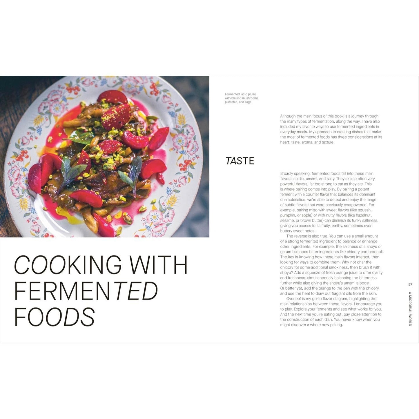 The Fermentation Kitchen: Recipes and Techniques for Kimchi, Kombucha, Koji, and More. (Spiral Bound)
