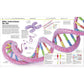 Knowledge Encyclopedia Human Body!