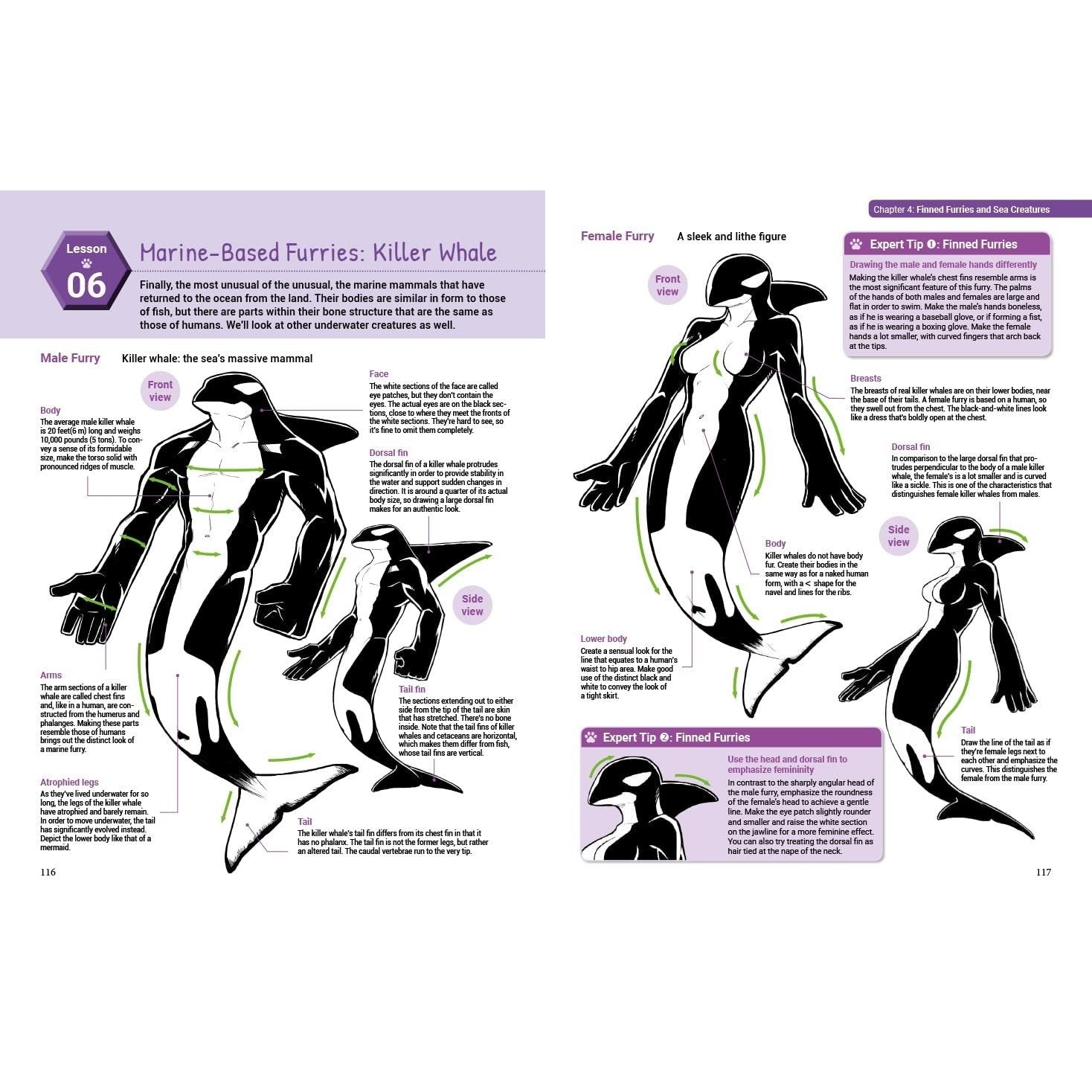 How to Draw Manga Furries: The Complete Guide to Anthropomorphic Fantasy Characters (750 Illustrations)