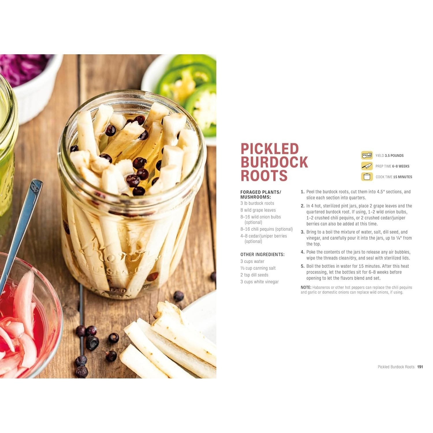 Foraging: Explore Nature's Bounty and Turn Your Foraged Finds Into Flavorful Feasts (Spiral Bound)