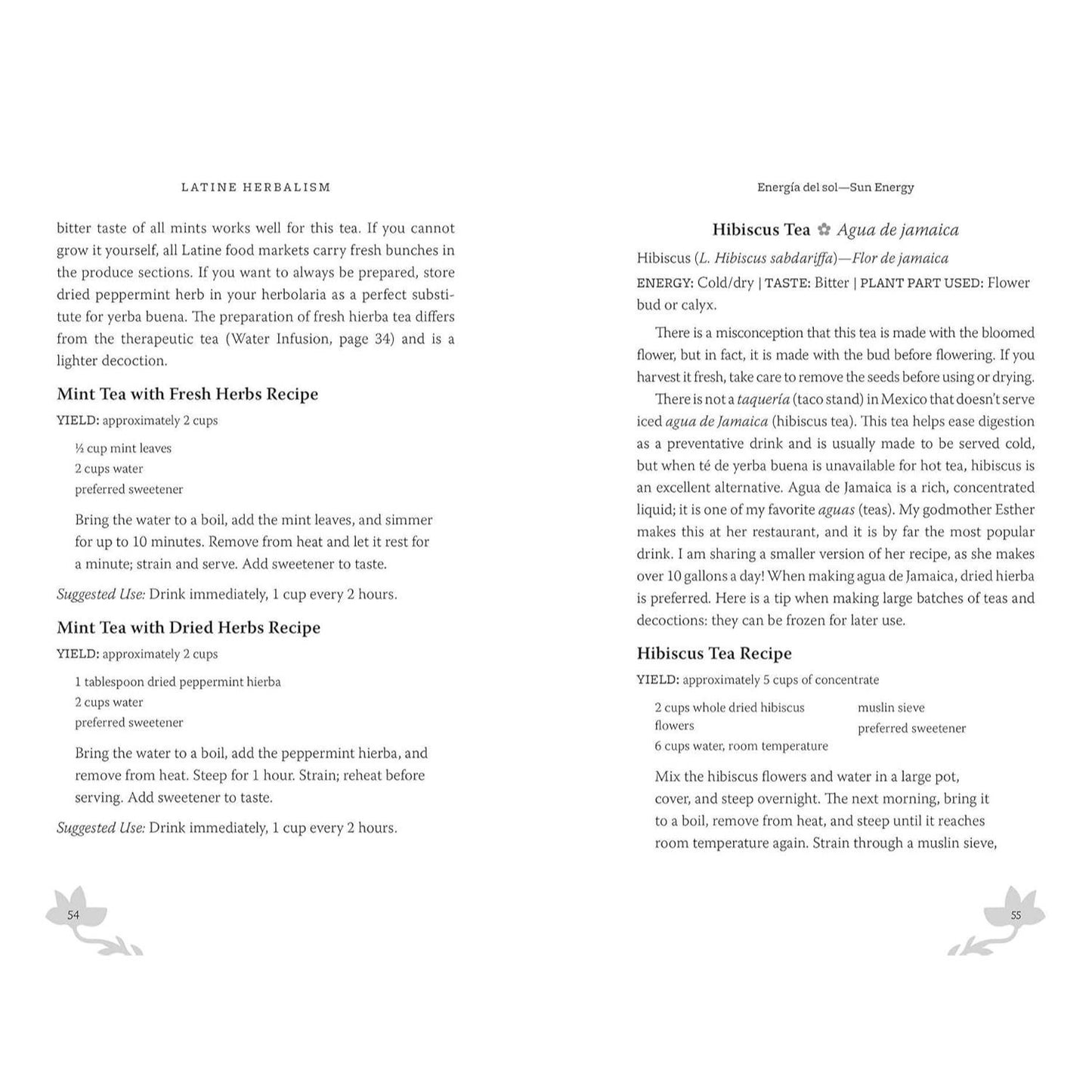 Latine Herbalism: A Beginner's Guide to Modern Curanderismo, Healing Plants, and Folk Traditions of the Americas