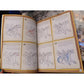 Wings of Fire: The Official How to Draw (Spiral Bound)
