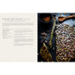 The Oldest Kitchen in the World: 4,000 Years of Middle Eastern Cooking Passed Down Through Generations (a Cookbook)