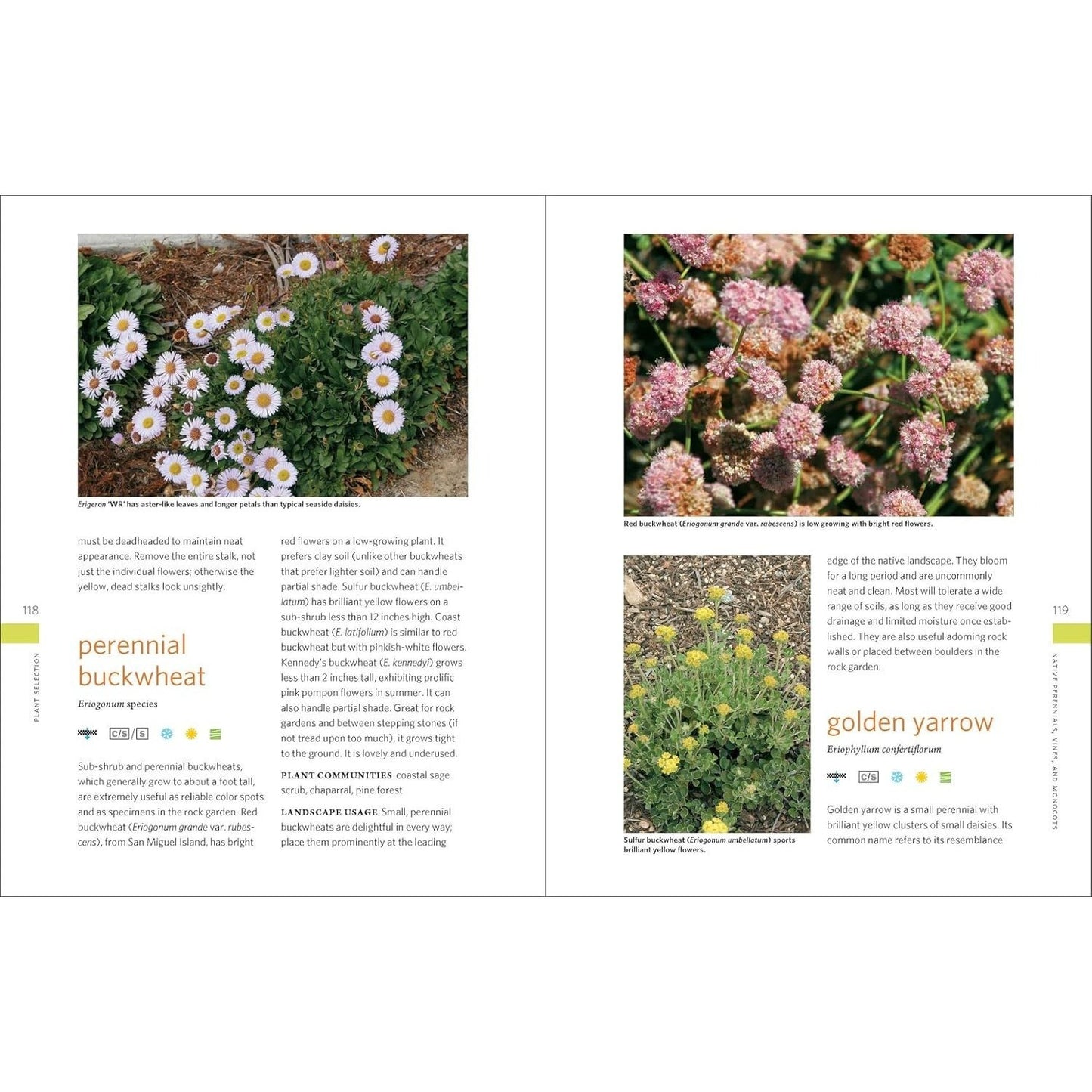 The Drought-Defying California Garden: 230 Native Plants for a Lush, Low-Water Landscape