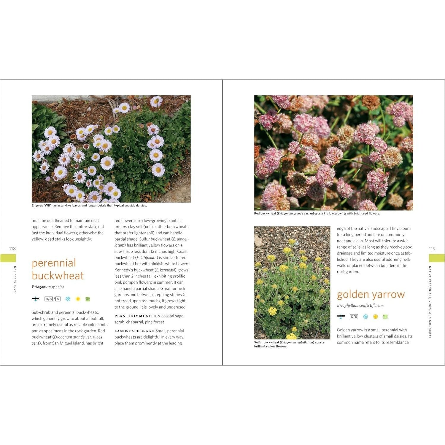 The Drought-Defying California Garden: 230 Native Plants for a Lush, Low-Water Landscape
