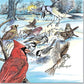 A Walk in the Woods Coloring Book