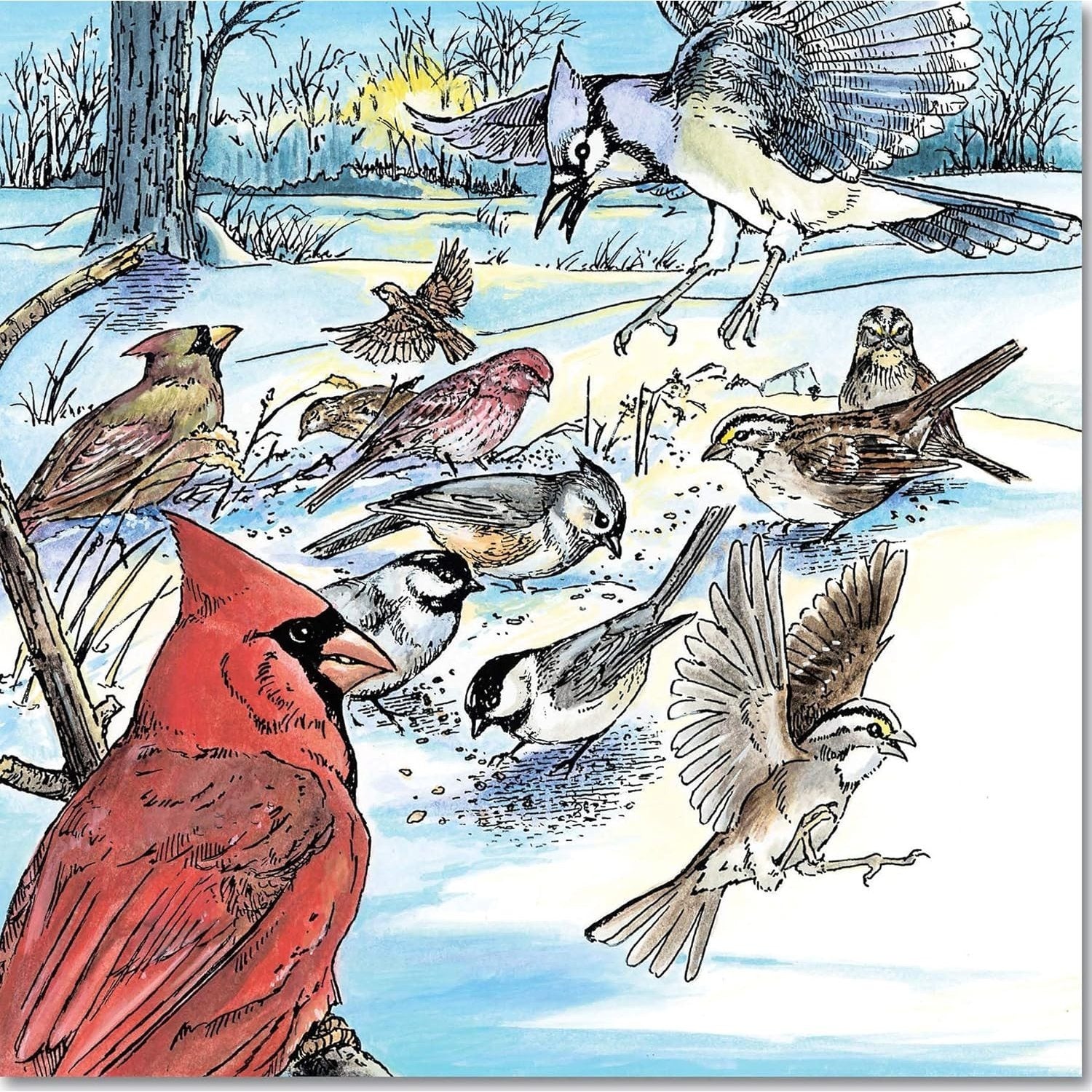 A Walk in the Woods Coloring Book