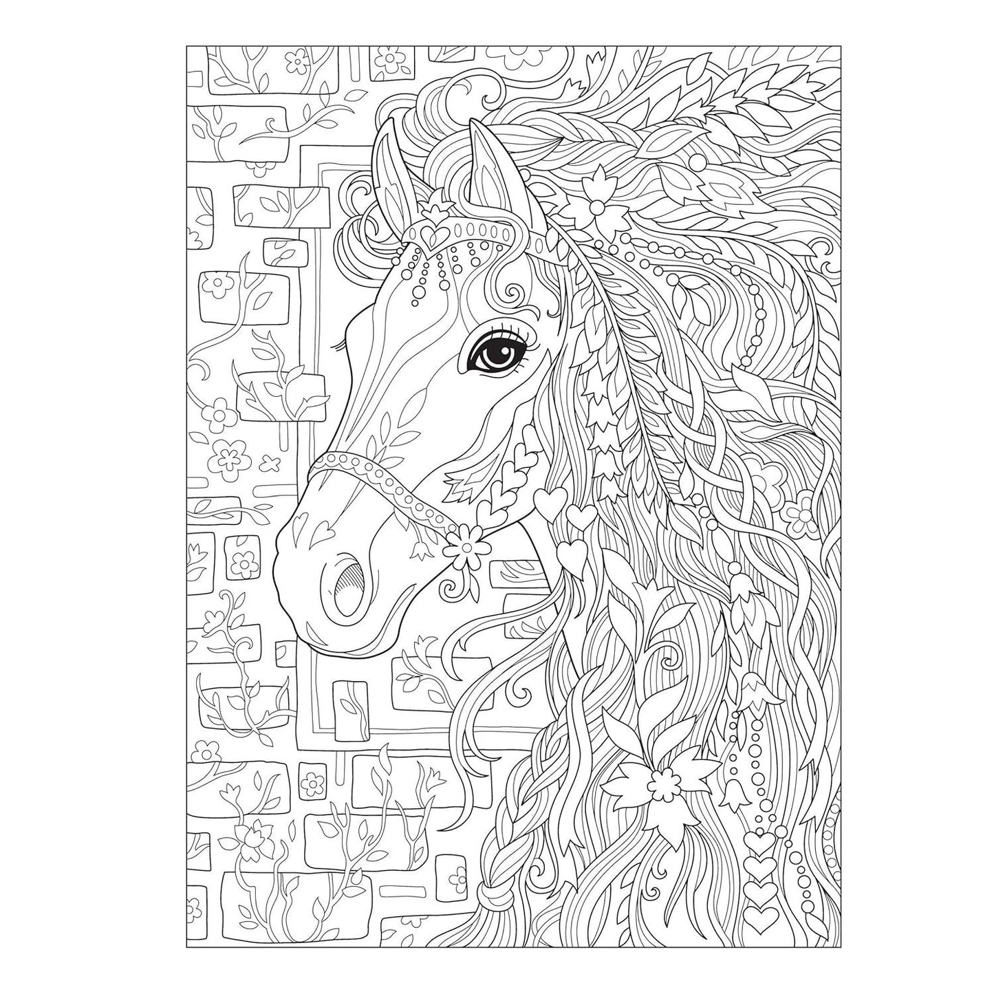 Creative Haven Dream Horses Coloring Book