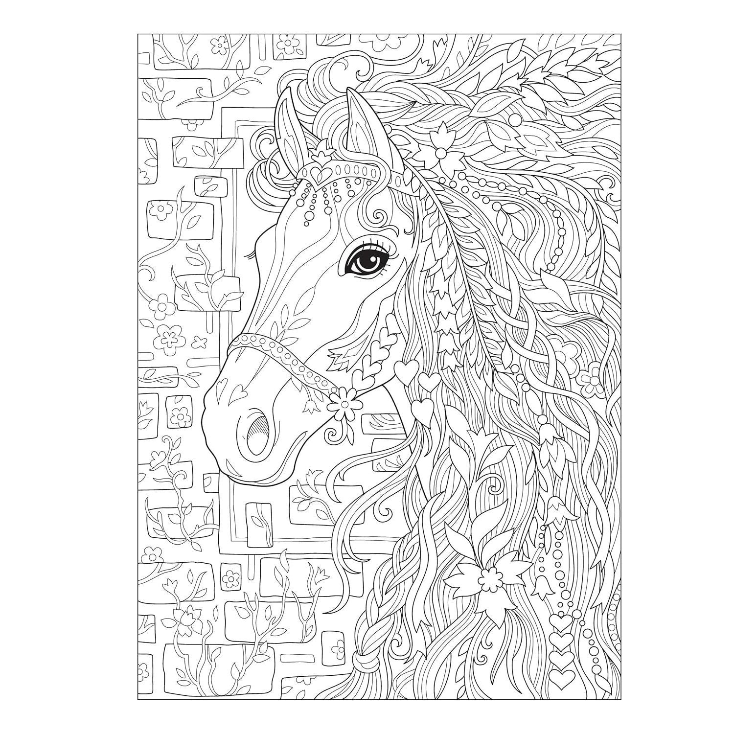 Creative Haven Dream Horses Coloring Book